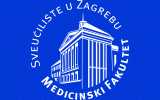 MEF